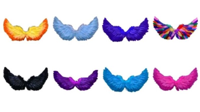 ปีกนางฟ้าขนนก พร้อมส่ง ปีกนางฟ้าขนนก พร้อมส่ง