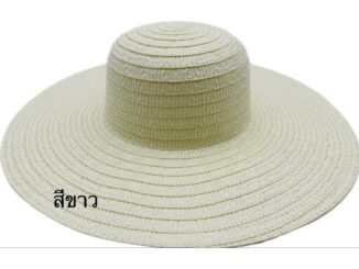 หมวกชายหาด42cmหมวกชายหาด