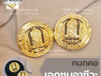 กนกคอเอกชนอาชีวะ สังกัดเอกชนอาชีวะ /เข็มติดปกคอเสื้อ-เครื่องหมายข้าราชการ-งานแกะมืออย่างดี (ขาเข็มกลัด)