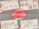 ต่างหูแฟชั่นเกาหลี ละเอียดอ่อน หรูหรา เป็นที่นิยม สําหรับผู้หญิง