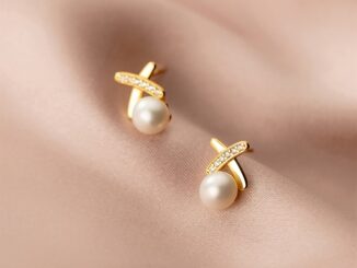Monica Earrings ต่างหูเงินแท้ S925