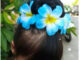 ยางมัดผมดอกลีลาวดี
