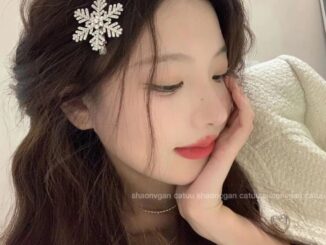 กิ๊บติดผม รูปเกล็ดหิมะ ประดับเพชร ระดับไฮเอนด์ แฟชั่นฤดูใบไม้ร่วง และฤดูหนาว 2023【Valentine Day】