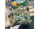สร้อยข้อมือหินผีโฟร์ซีซั่นธรรมชาติ10m