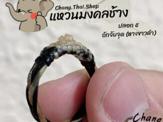 แหวนมงคล   ปลอก 5 ถักจับจุด(หางขาวดำ) แท้100%