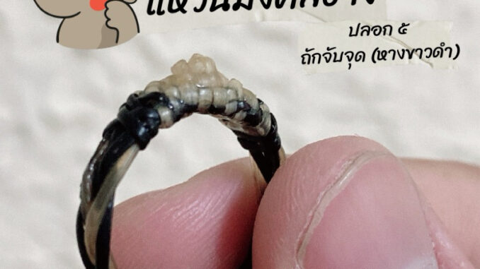 แหวนมงคล ปลอก 5 ถักจับจุด(หางขาวดำ) แท้100% แหวนมงคล ปลอก 5 ถักจับจุด(หางขาวดำ) แท้100%
