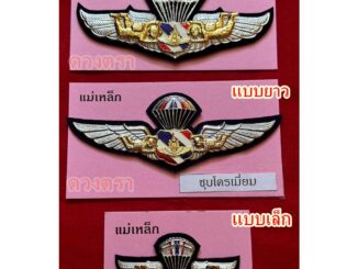 ปีกเหินเวหากิตติมศักดิ์ ทอ (ไม่มีกล่อง)