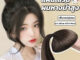 แผ่นเสริมผม หางม้า หัวทุยสวย ยาว20cm กว้าง14cm แบบสวม แฮร์พีชเสริมผม