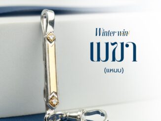 แหนบเมฆา(ชุบตามปกติ) ฝังพลอย 4 สี งานเงินแท้ 925 ชุบทองคำขาว แต่งทอง