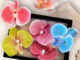 [พร้อมส่งทันที] กิ๊ฟดอกไม้ **ดอกฟาแลน** ดอกไม้ติดผม สงกรานต์ ลอยกระทง