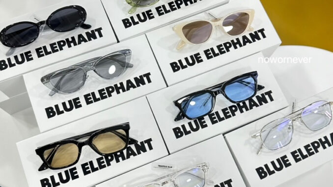 พร้อมส่ง Blue Elephant แว่นตาแบรนด์เกาหลี พร้อมส่ง Blue Elephant แว่นตาแบรนด์เกาหลี