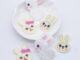 กิ๊บติดผม ผ้าวูล ลายการ์ตูนสัตว์ กระต่าย DIY อุปกรณ์เสริม สําหรับตกแต่งเสื้อผ้า หมวก รองเท้า 10 ชิ้น