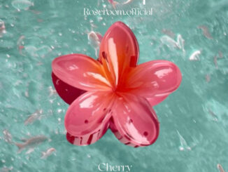 Roseroom (อ่านรายละเอียดก่อนซื้อ) พร้อมส่งกิ๊บหนีบผม 7-8cm  สดใสมาก summer ลีลาวดี