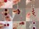 คลิปโลหะ รูปดอกไม้ สีไวน์แดง สไตล์เรโทร หรูหรา เรียบง่าย สําหรับหนีบขวดไวน์