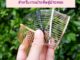 1 แถม 1  หวีสับเปล่าแต่งผม DIY  วัสดุเหล็ก  QC ดีๆสวยๆให้ทุกชิ้น มีสีเงิน สีทอง สีดำ โรสโกลด์