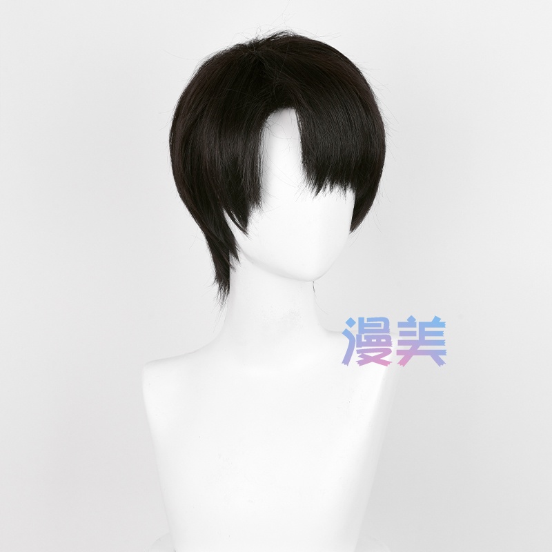 Anime Attack on Titan Levi Ackerman 30cm Black Brown Short Heat Resistant Synthetic Wigs