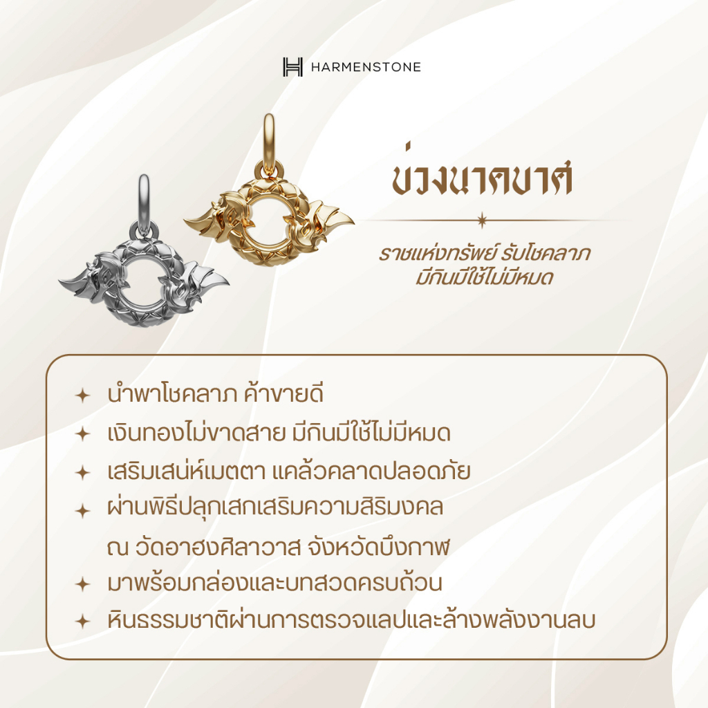Harmenstone สร้อยข้อมือมงคลชาร์มบ่วงนาคบาศ อัญมณี Tanzanite -The Unison - Samsara[พร้อมส่ง 5-7 วัน]