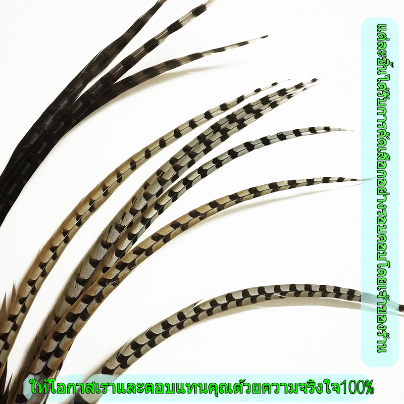 ขนไก่ป่าธรรมชาติขนแกะปักกิ่งละครซุนหงอคงซิ่ว