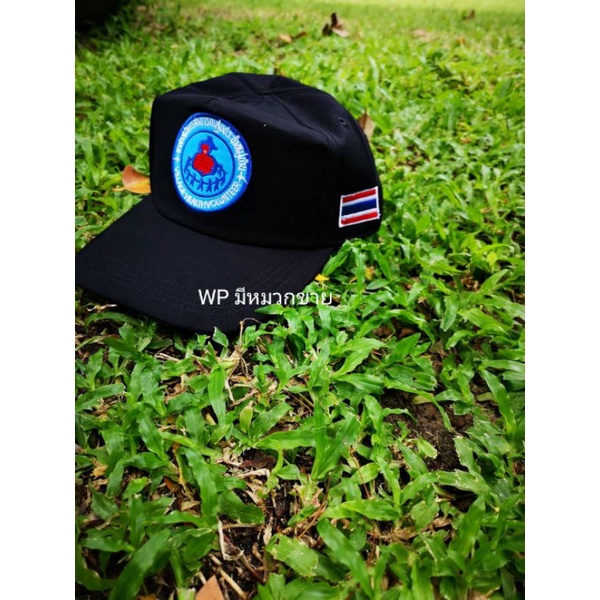 หมวก อสม. โลโก้ปักลงหมวก