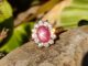 แหวนพลอยสตาร์ทับทิม(Natural Star Ruby) สีชมพูแดงสวยมาก จากบ่อประเทศโมซัมบิก เรือนเงินแท้ 92.5%ไซส์นิ้ว 53 หรือเบอร์ 6.5U