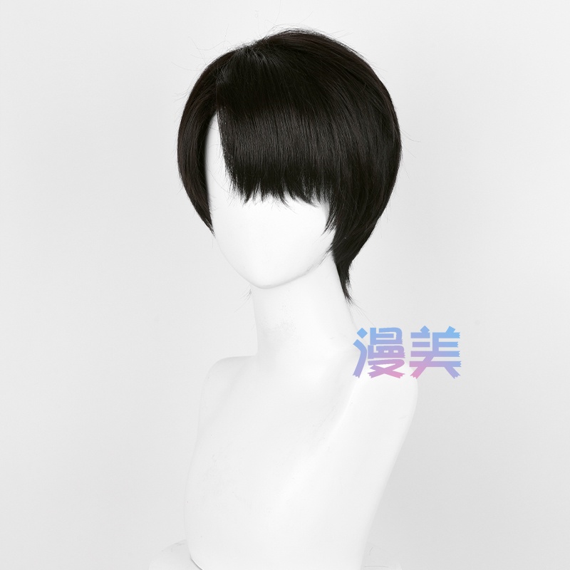 Anime Attack on Titan Levi Ackerman 30cm Black Brown Short Heat Resistant Synthetic Wigs