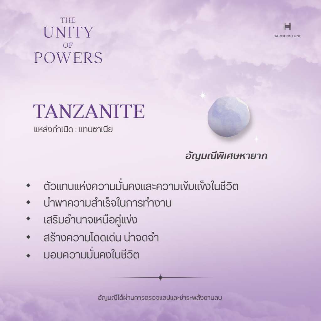 Harmenstone สร้อยข้อมือมงคลชาร์มบ่วงนาคบาศ อัญมณี Tanzanite -The Unison - Samsara[พร้อมส่ง 5-7 วัน]