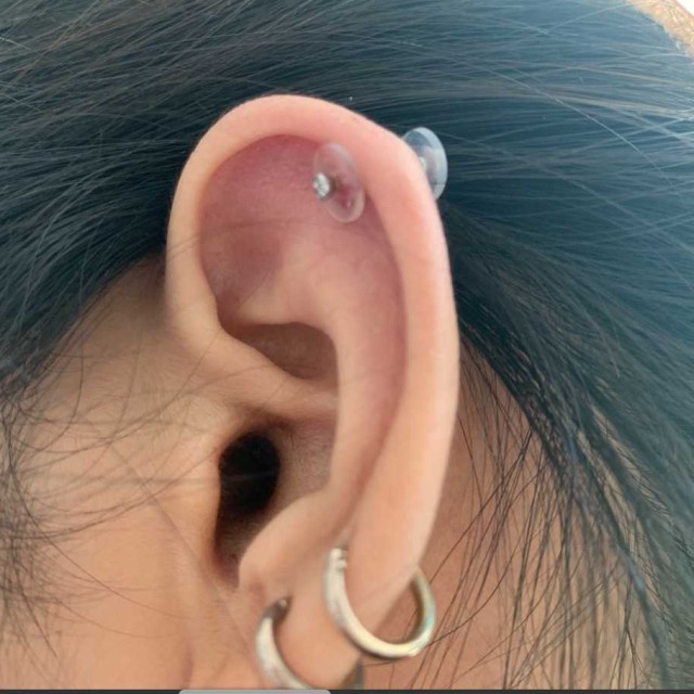 PiercingroomByJay  แผ่นกำจัดบั๊ม