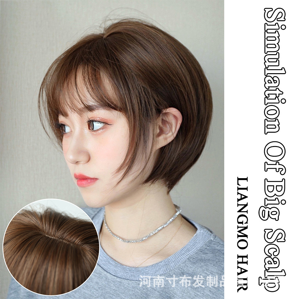 วิกผมสั้น ซอยผมสั้น น่ารักๆ สไตล์เกาหลียาว 20cm วิกผมสวยราคาถุกแถมnetฟรี
