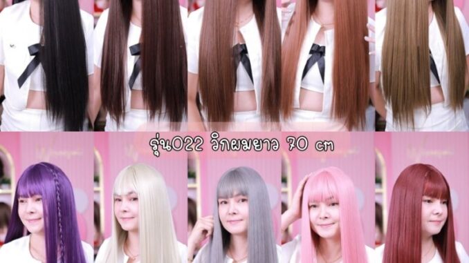 วิกผมยาวใส่สวยมาก (022)+ แถมตาข่ายฟรี วิกผมยาวใส่สวยมาก (022)+ แถมตาข่ายฟรี