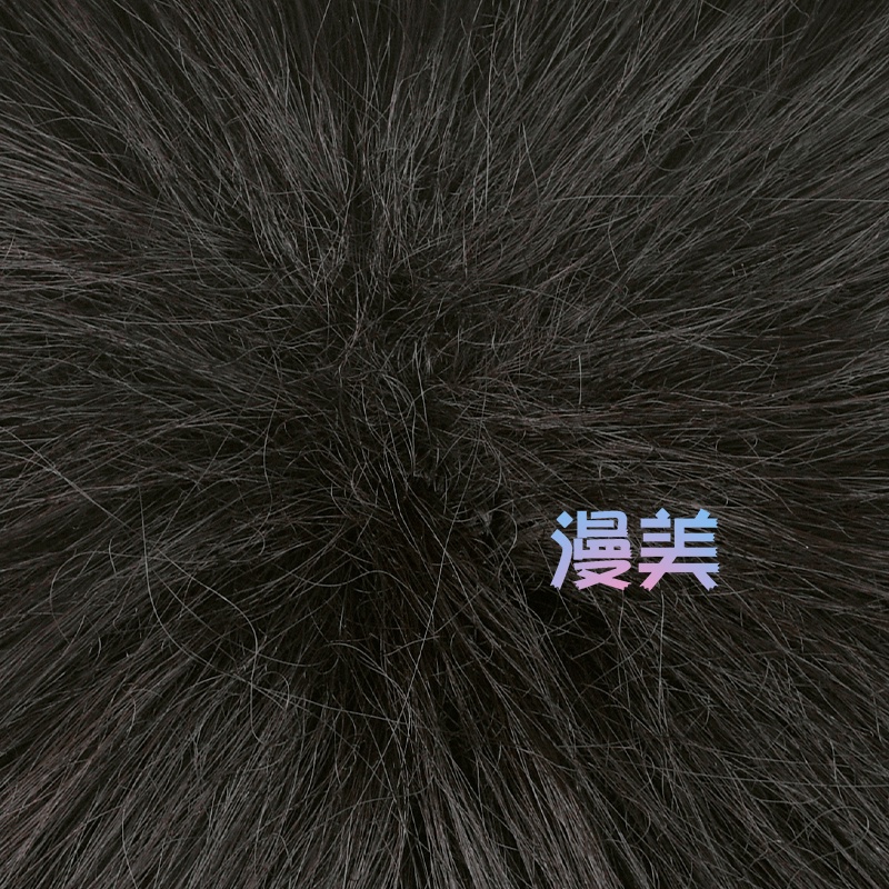 Anime Attack on Titan Levi Ackerman 30cm Black Brown Short Heat Resistant Synthetic Wigs