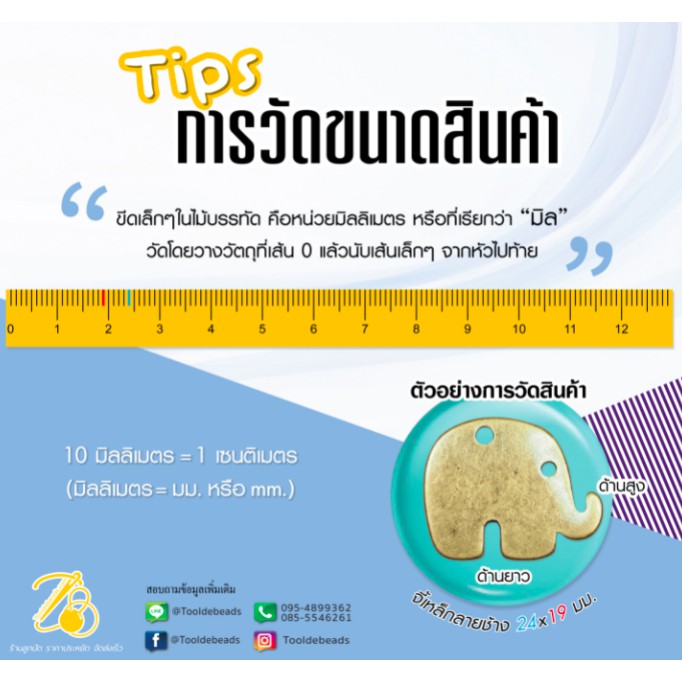 ปล้องยาว โทนมุกด้าน 6 มิล (100 กรัม)