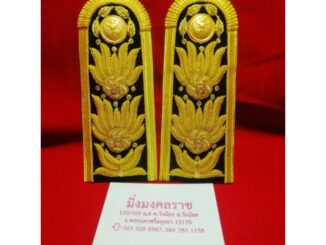 อินทรธนู​ระดับ​ชำนา​ญ​การ​พิเศษ​ ระดับชำนาญการ