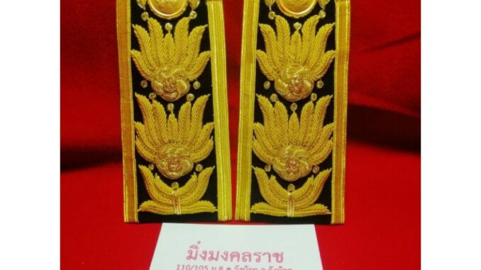 อินทรธนู​ระดับ​ชำนา​ญ​การ​พิเศษ​ ระดับชำนาญการ
