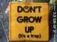 Don't grow up ตัวรีดติดเสื้อ อาร์มรีด อาร์มปัก ตกแต่งเสื้อผ้า หมวก กระเป๋า แจ๊คเก็ตยีนส์ Quote Embroidered Iron on Patch