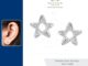 ‍⚕️ [เครื่องประดับ | ปลอดภัย] ต่างหู คนแพ้ง่าย : Twinkle Stars Earrings (LES-0009) Nantich Jewelry