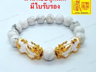 Collect-Shop กำไลหินฮาวไลท์ หินแท้100% กำไลปี่เซียะ หิน 10 มิล