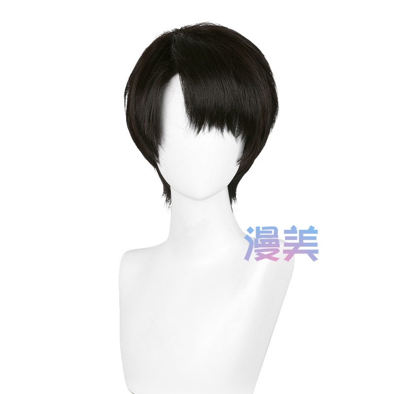 Anime Attack on Titan Levi Ackerman 30cm Black Brown Short Heat Resistant Synthetic Wigs