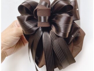 เน็ตติดผม โบว์ติดผม เครื่องประดับผม กิ๊บ ริบบิ้นโบว์ โบว์แฟชั่น