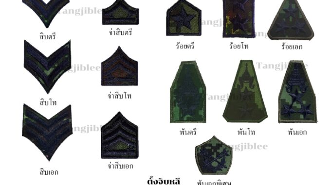 เครื่องหมายยศผ้าชุดฝึกลายพรางดิจิตอล ทหารบก สิบตรี-โท-เอก เครื่องหมายยศผ้าชุดฝึกลายพรางดิจิตอล ทหารบก สิบตรี-โท-เอก