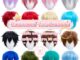 พร้อมส่ง  ✅เน็ตยืด✅ วิกผมคอสเพลย์ เบสิคสั้น ทรงผู้ชาย ซอยสั้น ยาว 30 ซม. กลางหัวมีหนีบฟูมาแล้ว เน็ตยืด