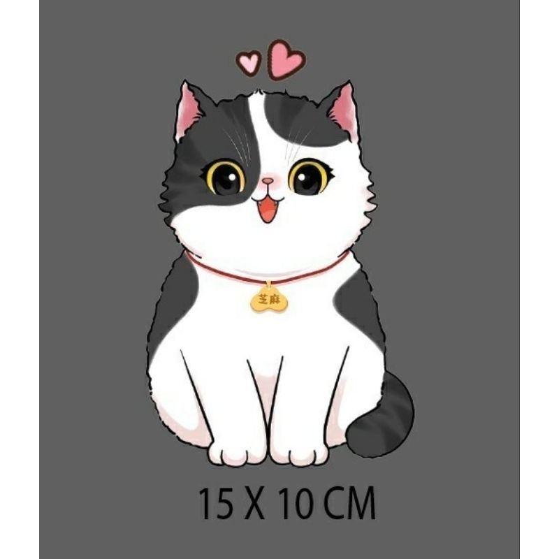ตัวรีดติดเสื้อ  Iron on Patches  สติกเกอร์