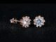ZHOUYANG มงกุฎเจ้าหญิง Cubic Zirconia กุหลาบสีทอง / สีเงิน Stud Earrings เครื่องประดับแฟชั่น ZYE021 ZYE022