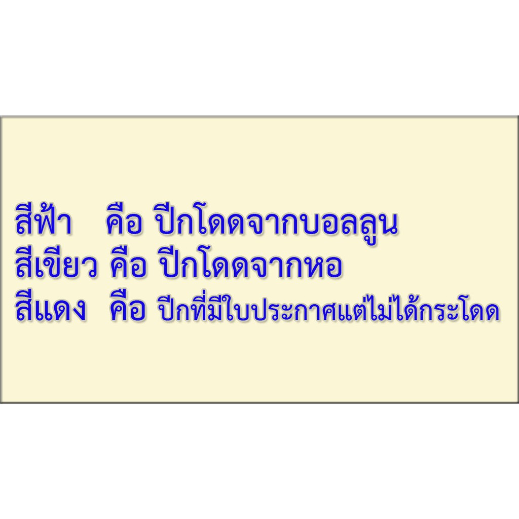 ปีกบอนลูน ปีกสัมพันธ์ แม่เหล็ก สบัดไม่หลุด ดิ้น-โลหะ