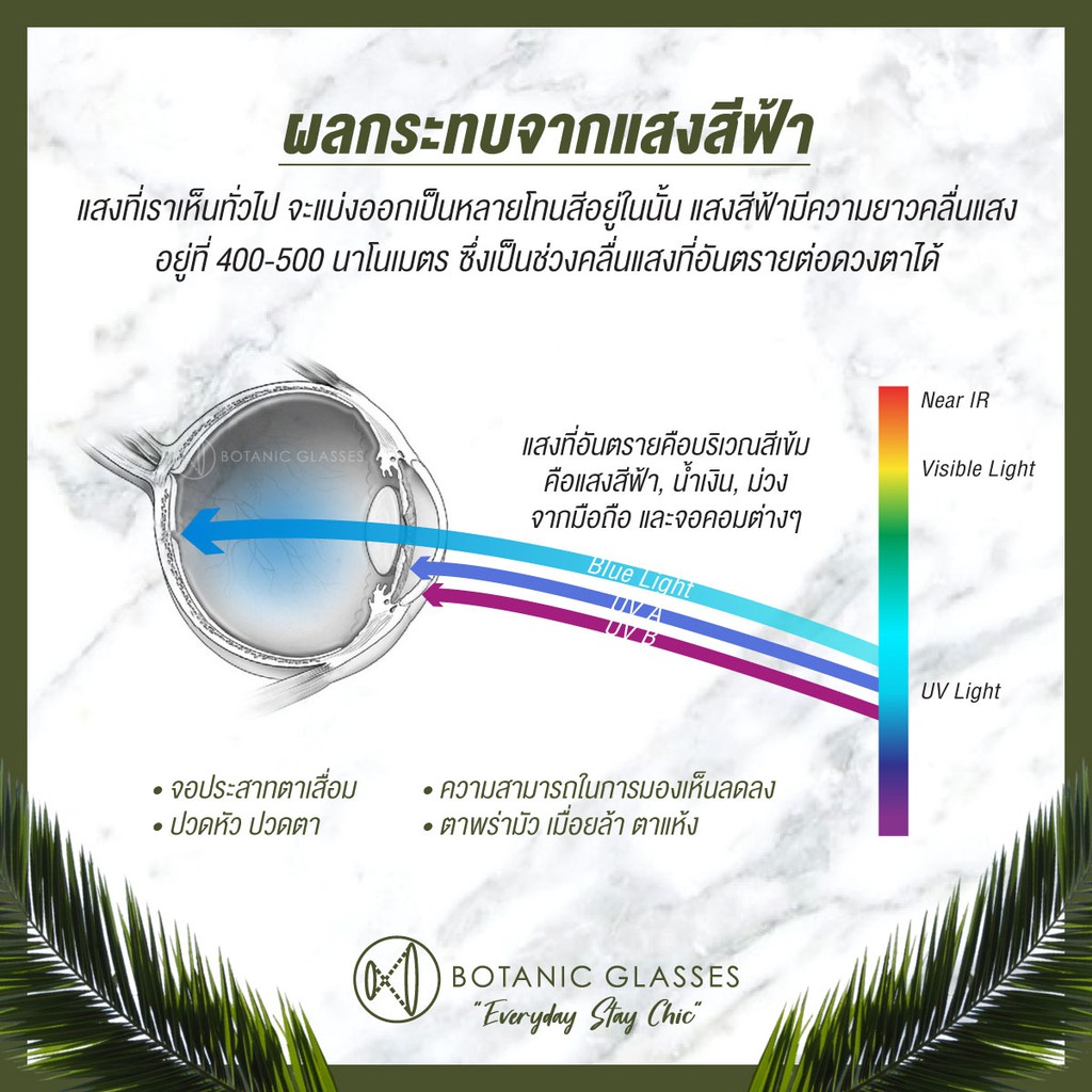 แว่นกรองแสง สีฟ้า กรองแสงสีฟ้า 95% กันUV99% สีเงิน แว่นตา กรองแสง แบรนด์ Botanic Glasses แว่นกรองแสง
