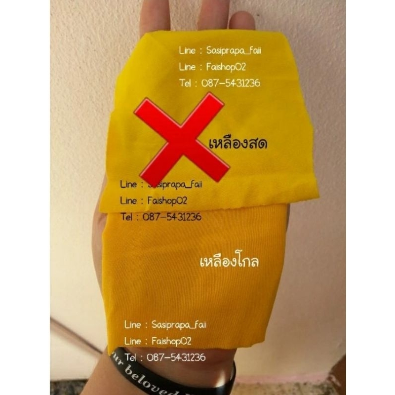 ✔พร้อมส่ง!! ถุงมือเชียร์ ยาว 15นิ้ว คู่ละ20-25บาท