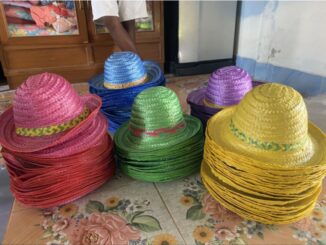 (ขั้นต่ำ5ใบ) หมวกพลาสติกสี หมวกสาน ใช้งานกีฬาสี กฐิน บวชนาค ชาวนา ชาวสวน