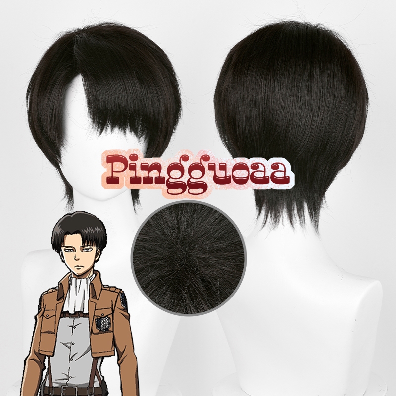 Anime Attack on Titan Levi Ackerman 30cm Black Brown Short Heat Resistant Synthetic Wigs