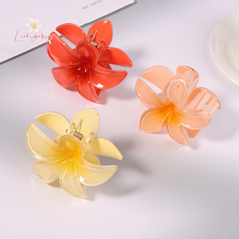 Luckybabys> ใหม่ กิ๊บติดผม ริมทะเล ด้านหลังของศีรษะ มีให้เลือกหลายสี Bauhinia ใหม่” /></a></p>
<p><a href=