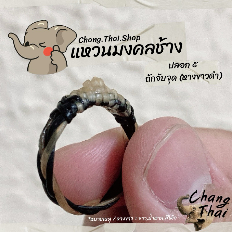 แหวนมงคล   ปลอก 5 ถักจับจุด(หางขาวดำ) แท้100%