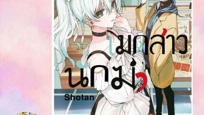 เมดสาวนักฆ่า เล่ม 2-6 มือ 1